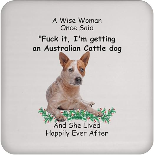 how to get cat pee out of concrete