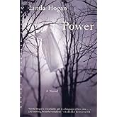 Power: A Novel (Norton Paperback Fiction)