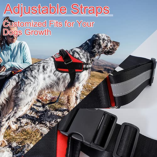 Bolux Over Head Dog Harness, Easy On and Off Pet Vest Harness
