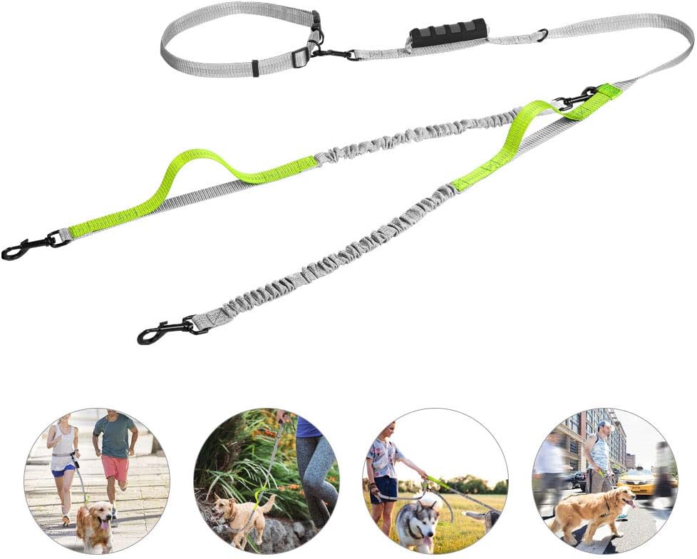 UgBaBa Hands Free Dog Leash for Walking Running Training Jogging,Heavy Duty Double Shock Absorbing Bungee Dog Leash Kit for 2 Dogs,Adjustable Waist Belt,Reflective, 3 Handles for Extra Control