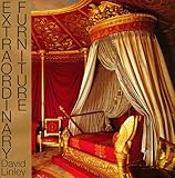 Extraordinary Furniture by 