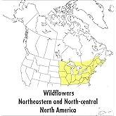 A Peterson Field Guide To Wildflowers: Northeastern and North-central North America (Peterson Field Guides)