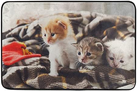 Soefipok Felpudo para Mascotas, Blanco Naranja Gatito recién Nacido