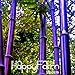 Hot Sale!Rare purple Timor Bamboo Seeds Bambusa black bamboo seeds planted courtyard Yi 100 Seeds/Pack