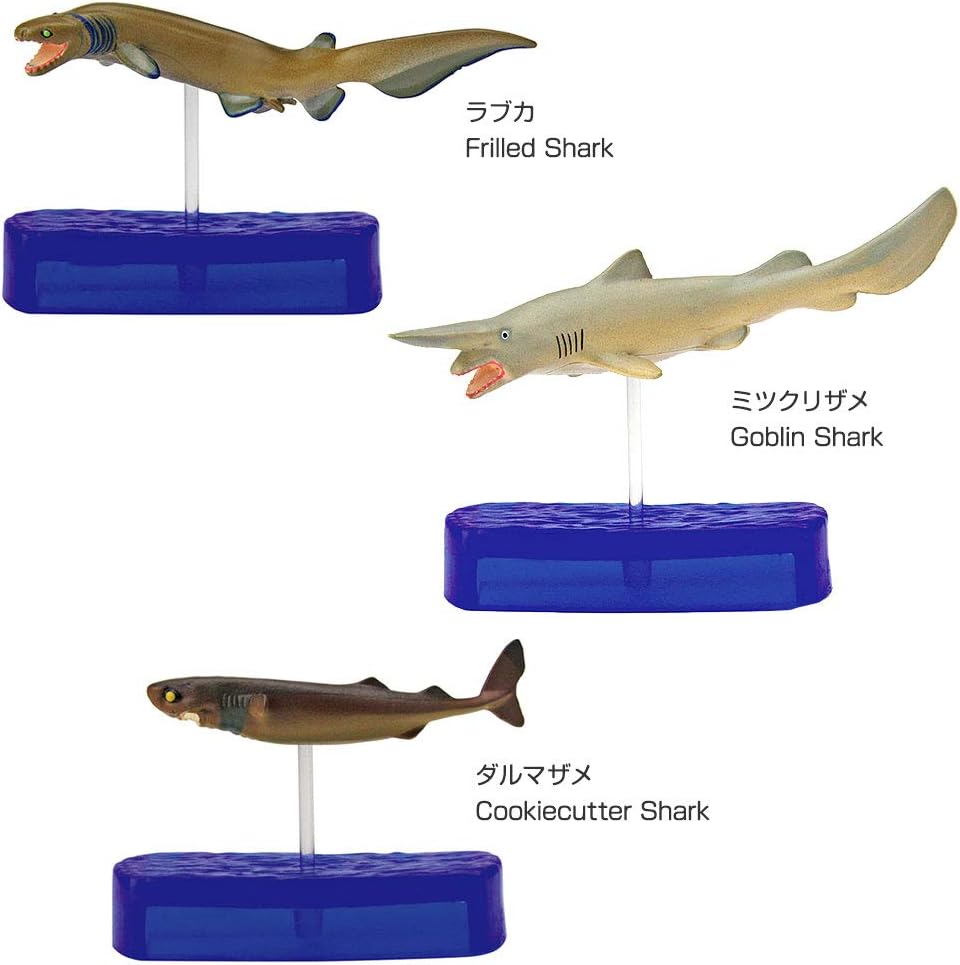 Amazon Com Colorata Sharks Vr Full Set Solid Illustrated Toys Games