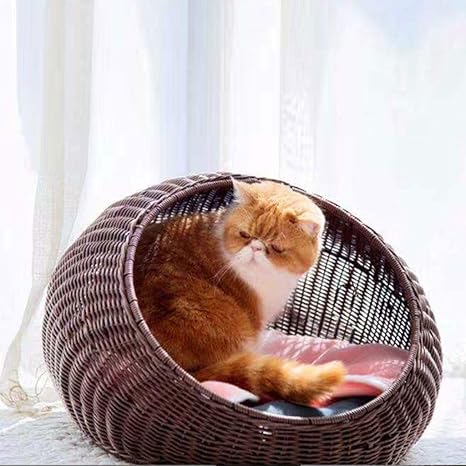 Wicker cat dome Clearance