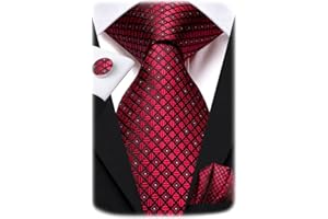 Hi-Tie Men 63inches Tie Set Extra Long Necktie Paisley Tie Pocket Suqare Cufflinks Big and Tall Men Tie