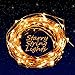 Extra Long 40ft 125 LEDs Warm White LED Copper Wire Indoor Outdoor String Lights + Include 6V DC Power Adapter