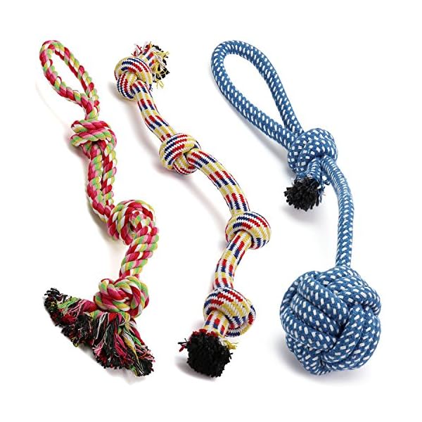 Pacific Pups Products for Dogs Dog Toys for Aggressive Chewers, 11