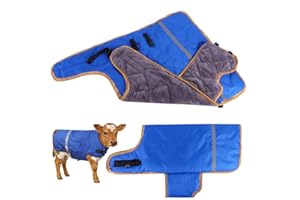 AQINGR Goat Blankets for Winter Calf Blanket Thickened Warm Calf Clothing Calf Warm Artifact Calf Cold Clothing Calf Keep Warm Clothing Horse Blanket for Cattle Calves Goats Foals Donkeys（Plush 1 Pack）