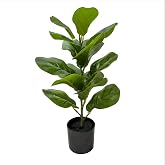 Kiko Artificial Plant- Fiddle 60CM