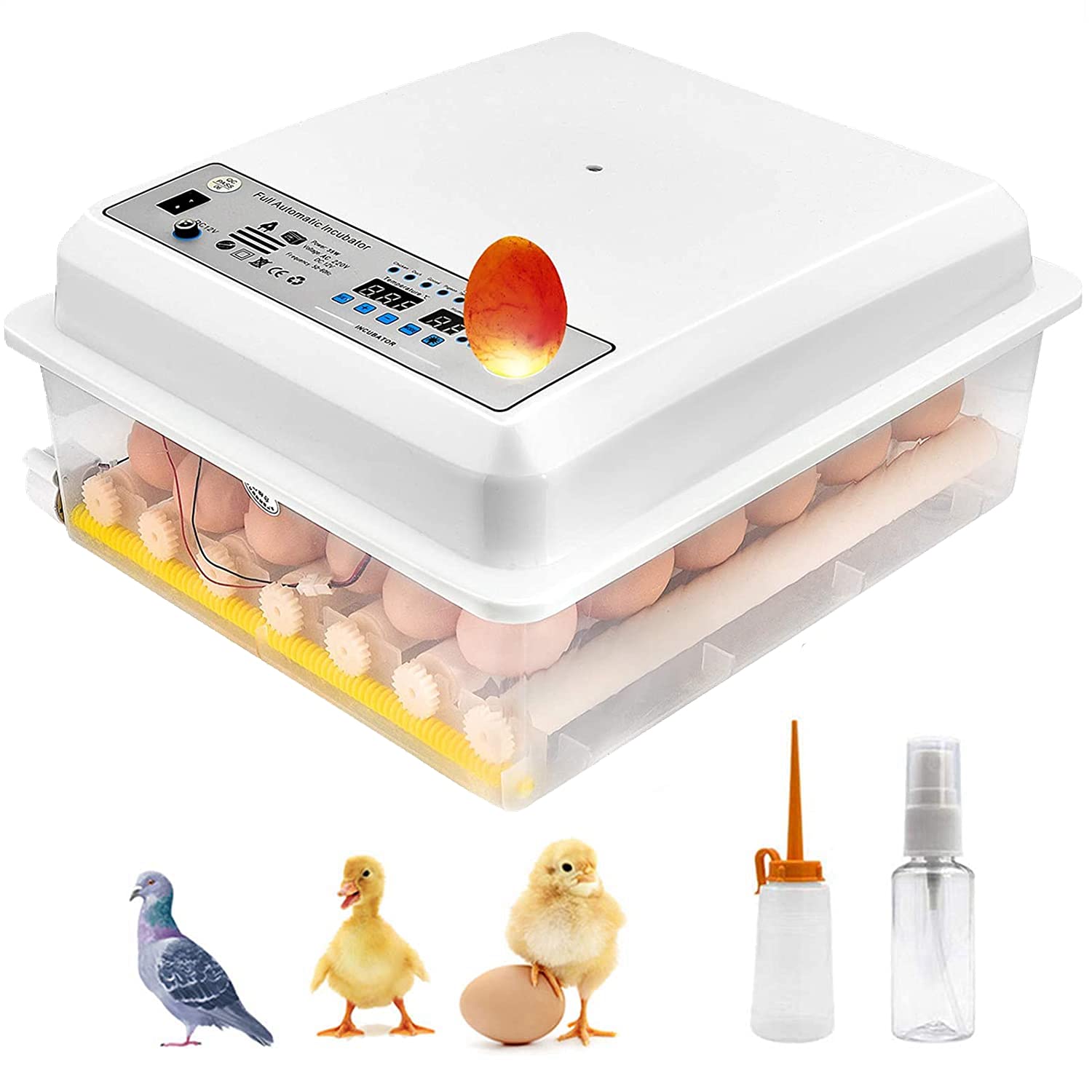 Buy Fully Automatic Egg Incubator, 36 Eggs Digital Mini Automatic ...