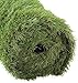 GOLDEN MOON Artificial Grass 1.57