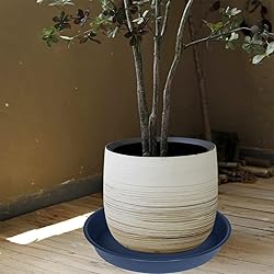 Bleuhome 2 Pack of 16 17 inch Plant Saucer