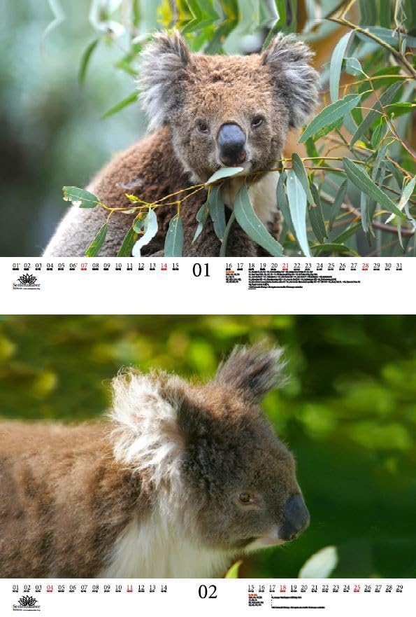 View 2