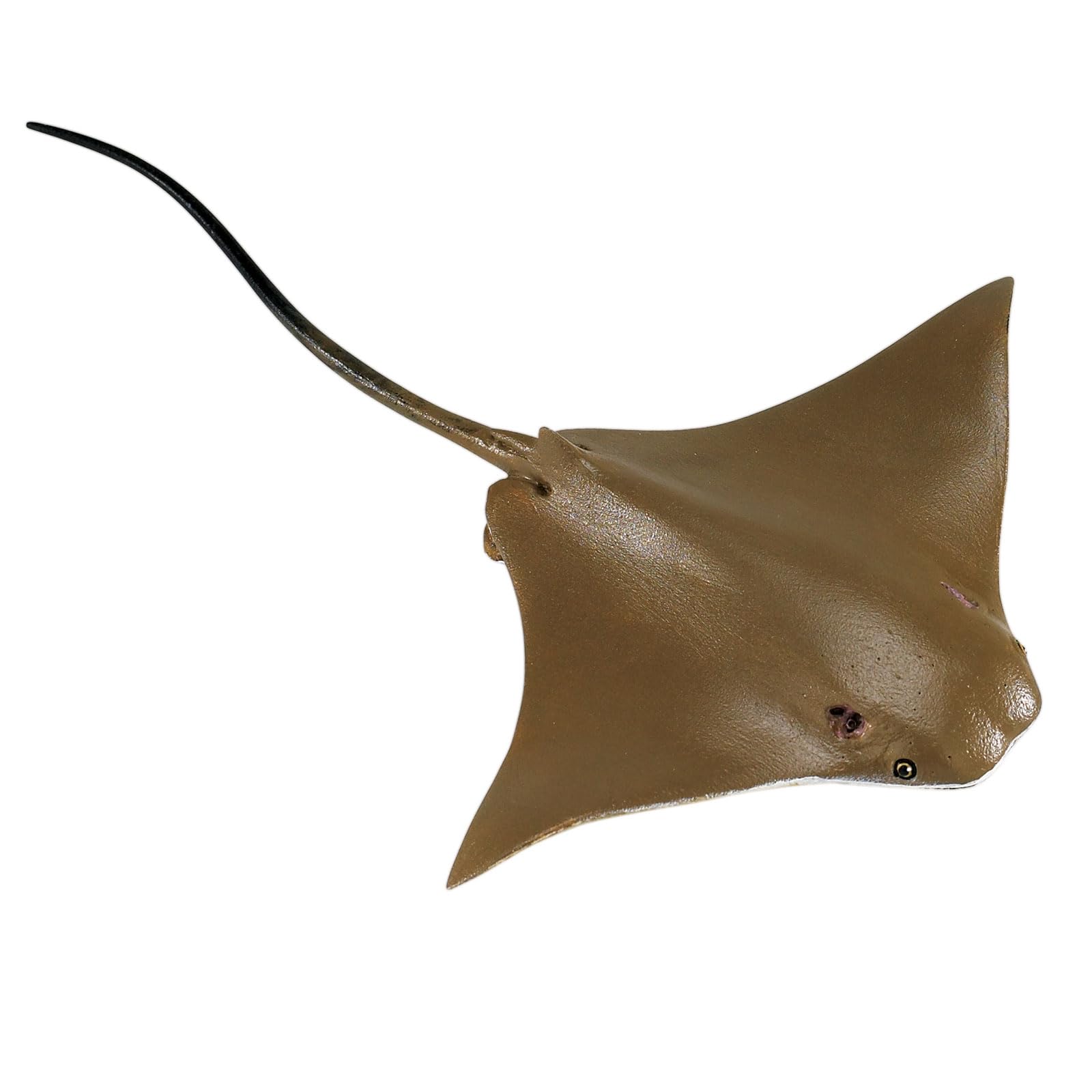 Safari Cownose Ray, Multicolor, Small