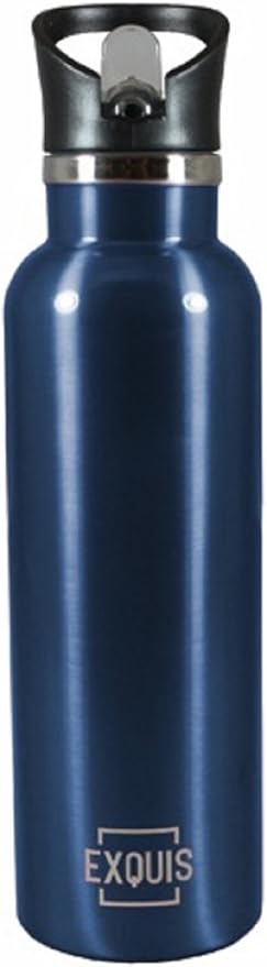 exquis double wall stainless steel bottle
