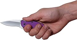 Kershaw Scallion Purple Folding Knife