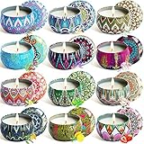 YYHC Aromatherapy Scented Candles Essential Oils Natural Soy Wax Portable Travel Tin Candle Set of 12 Gift 2.5 Ounce tins 240 Hour Burn Long Lasting