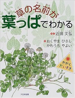 草の名前が葉っぱでわかる かがくだいすき 近田 文弘 やよい かわうち ひさし おくやま 本 通販 Amazon
