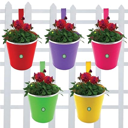 TrustBasket Plain Round Railing Planters (Multicolour, Pack of 5)