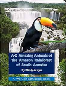 A-Z Amazing Animals of the Amazon Rainforest of South America: Fun facts and big colorful ...
