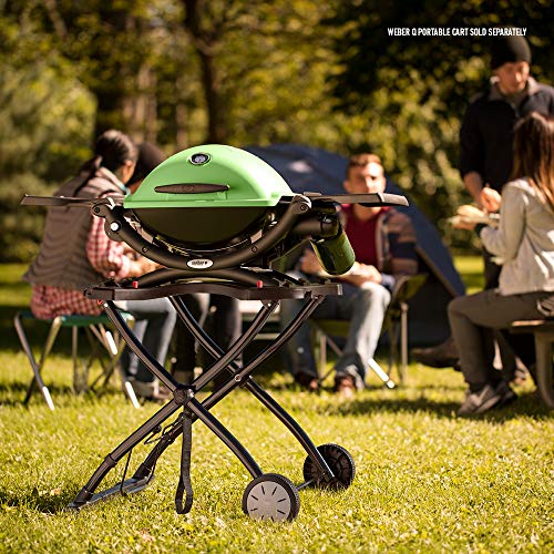 er Q1200 Liquid Propane Grill, Green Pricepulse