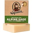 Dr. Squatch All Natural Bar Soap for Men with Zero Grit, Alpine Sage