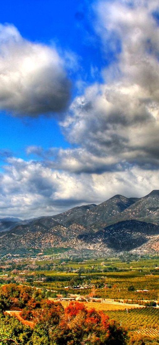 PeelitStickit, Beautiful Nature Wall Murals, ID-1216, vinyl