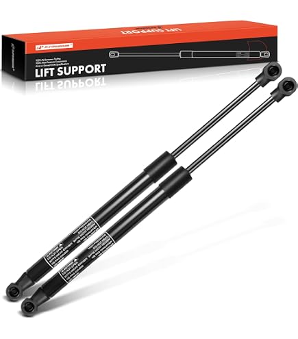 Amazon.com: BOXI 2pcs Tailgate Liftgate Lift Supports Struts