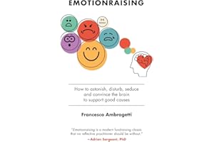 Emotionraising: How to astonish, disturb, seduce and convince the brain to support good causes
