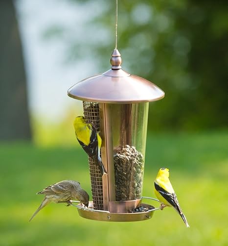 Direct Selling Cleaning Products Direct Selling Companies For Bird