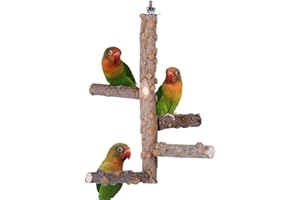 KINTOR Bird Perch Nature Wood Stand for 3-4pcs Small Medium Parrots (S)