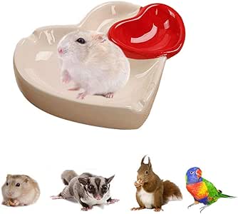 thumbnail image 2 of HAMSTER FEEDING BOWL Guinea Pig Food Dish Rabbit Water Bottles £13.95 2 of 11