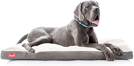 builders warehouse dog beds