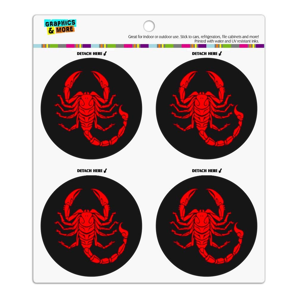 Which Is The Best Small Desert Refrigerator Magnet Set