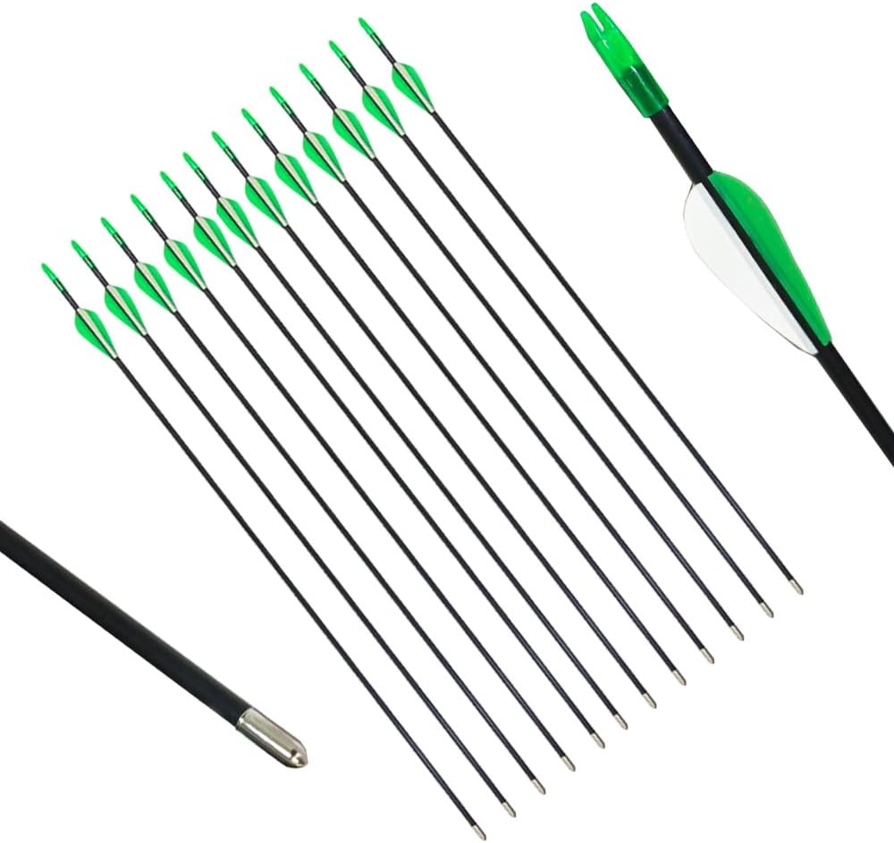 PG1ARCHERY Archery Targeting Arrows Youth Kids Practice Fiberglass Arrow Fletched Vanes with Bullet Points Tips for Compound & Recurve Bow 28", 12 Pack