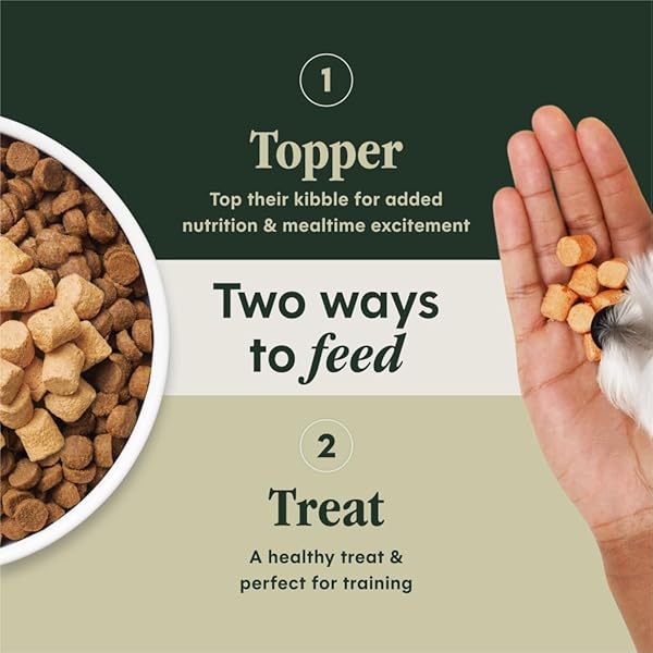 INSTINCT RAW BOOST MIXERS FREEZE DRIED DOG FOOD TOPPERS FOR DRY FOOD, GRAIN FREE DOG FOOD TOPPERS WITH CHICKEN FOR DOGS – GUT HEALTH, 12.5 OZ