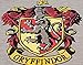 INTIMO Harry Potter Nightgown For Girls Hogwarts House Raglan Long Sleeve Pajama (Gryffindor, 10/12)