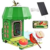 Avinory™ Metal Smart Bird Feeder with 2K HD Camera with Pole Dia 1 in,Solar Powered,AI Identification for 12000+ Species,2.4G