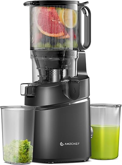 AMZCHEF Automatic Cold Press Juicer 250W 145mm Opening 2L Capacity Black
