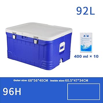 ZLL Nevera refrigeradora para autos Caja de 92L Deep Freeze ...