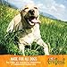 Wellness TruFood CocoChia Bakes Natural Grain Free Dog Treats, Lamb, Purple Carrot and Coconut Oil Recipe, 5-Ounce Bag