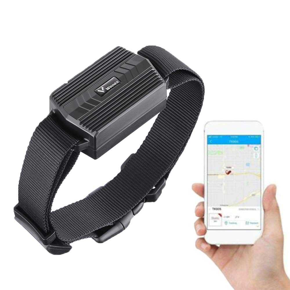 Zeerkeer Mini GPS Tracker - Waterproof Rechargeable GSM/GPRS Dog Tracking Device, 50 Days Standby, Real-Time Locator for Hound, Horse, Sheep With Free APP TK935