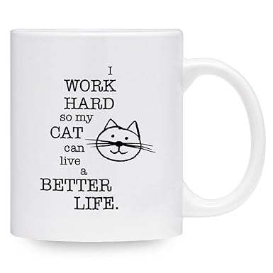 Amazon.com: Taza divertida con texto en inglés 