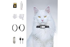 Qinliy HD 1080P Cat Camera Collar,Dog Camera Collar with 32GB SD Card,Mini Body Cam,Sport/Action Camera with Video Records,Tracker for Outdoor Petsafe,Pet Supplies for Birthday Gift