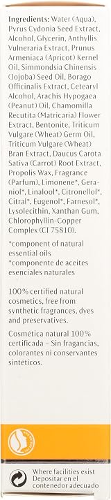 Dr. Hauschka Revitalizing Mask 30 ml Unisex Skincare Face Treatment view 7