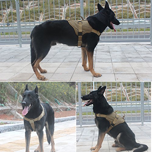 icefang tactical harness