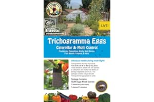 Bug Sales Trichogramma 3 Squares/ 12,000 Eggs