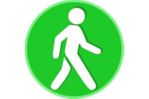 Step Counter - Pedometer King